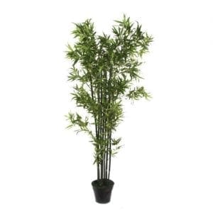 ALQUILER DE PLANTAS PARA EVENTOS
