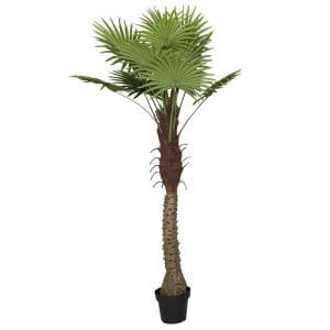 ALQUILER DE PLANTAS PARA EVENTOS