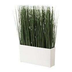 Jardinera Grass